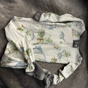 Burt's Bees Baby Dinosaur Print Footie - Gray and Green